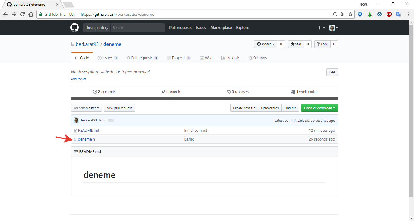 Github Proje Yükleme ekran görüntüsü 9