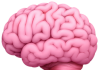 ADHD Dostu Kod Yardımcısı: ayghri/i-have-adhd Projesi